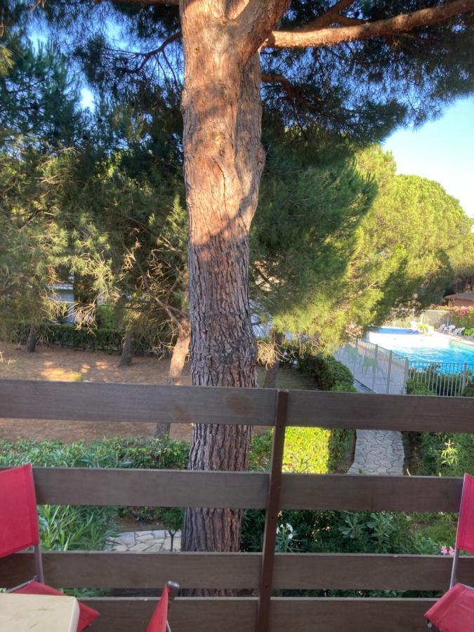 Residence Piscine Proche Village Naturiste - Pinede Agde Exterior photo